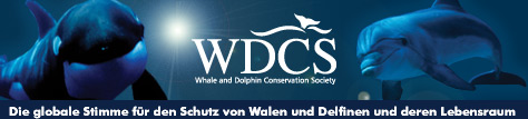 wdcs